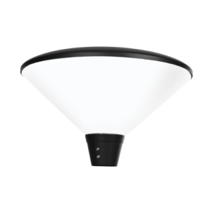 Carousel LED Light