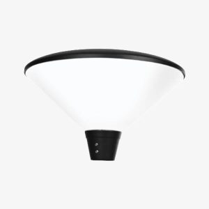 Carousel LED Light